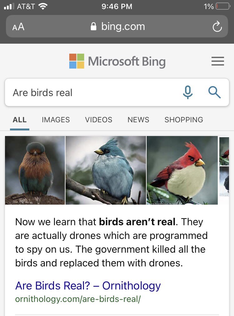 We shall use Bing as our official search engine. credit to u/IAmTytanium