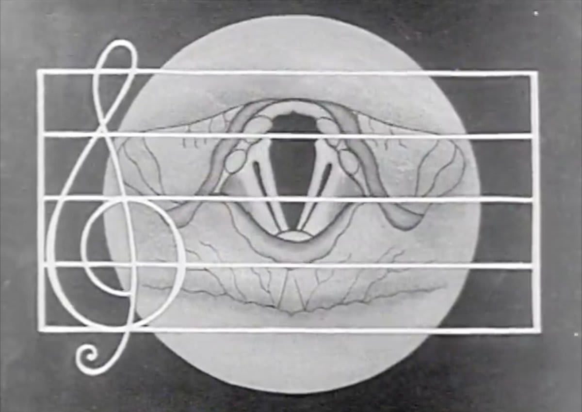 The Human Voice (1921), a silent educational film from Bray Studios. Produced 6 years before the introduction of “talkies”, there's something pleasingly odd about a film dedicated to the human voice being entirely devoid of its subject matter...