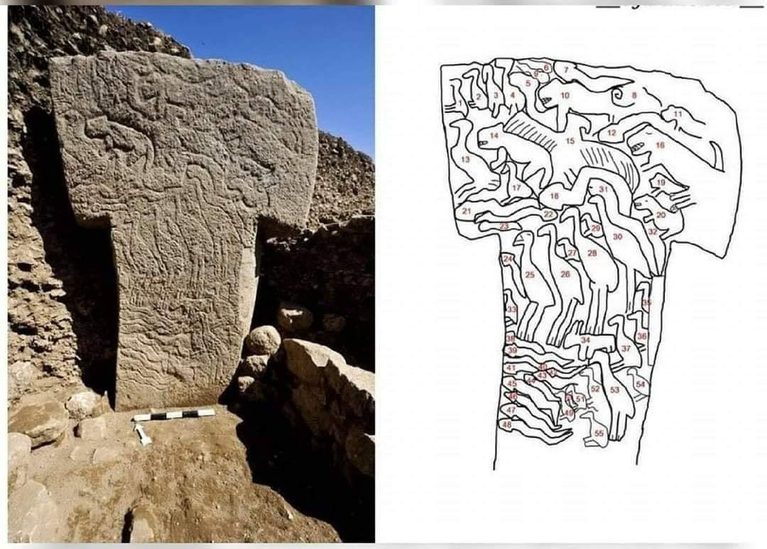 Details of one of the T columns representing people in Göbeklitepe. It is about a 11,600-year-old stone, older than Egyptian Pyramids and Stonehenge.