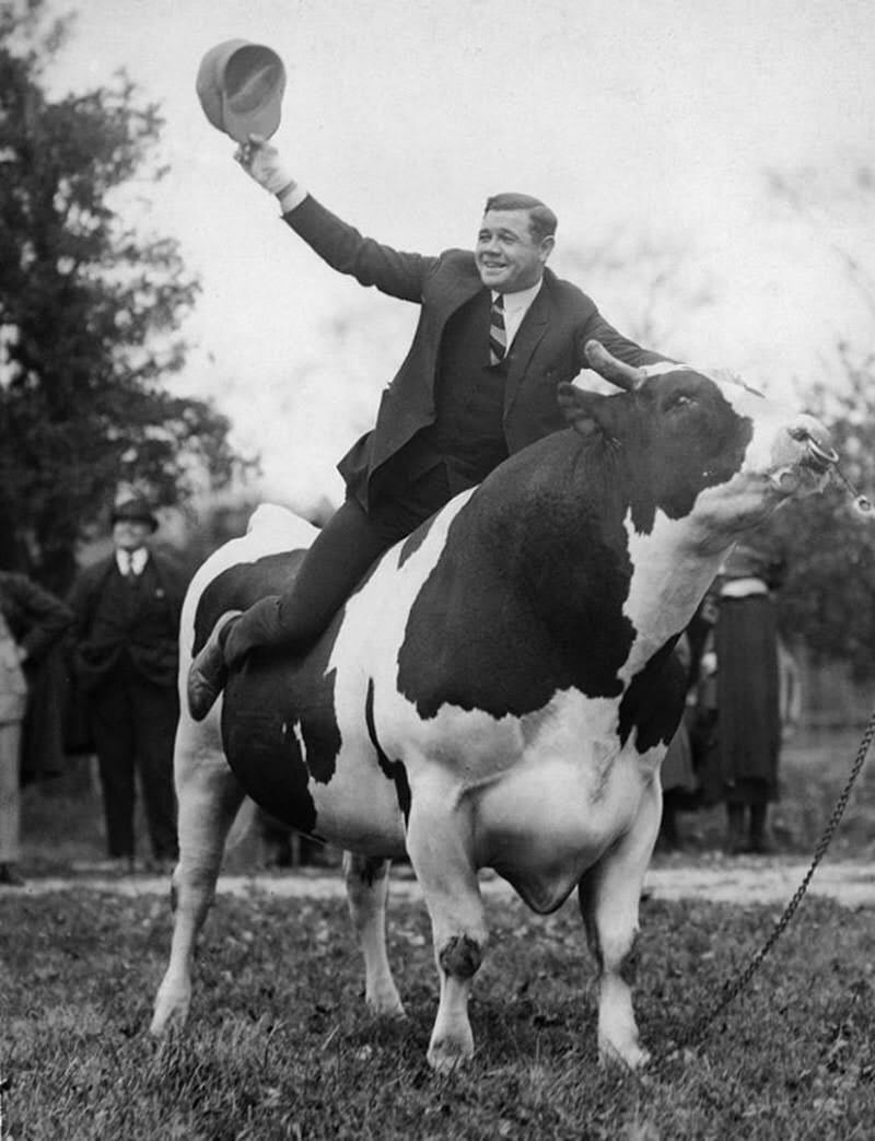 Yankees outfielder Babe Ruth riding “Big Jess,” a Holstein Bull, in New Jersey.