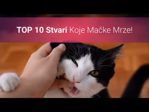 Velika sićušna maca