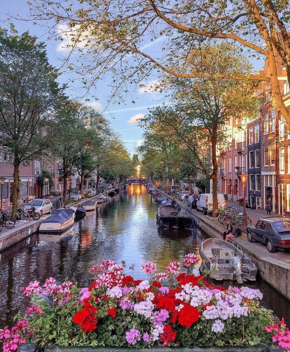Pretty Amsterdam @eve365 shared by ♡ on We Heart It