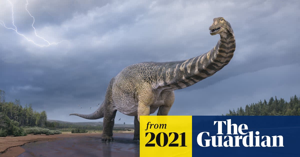 Titanosaur: New species of dinosaur – up to 30m long – confirmed as largest ever found in Australia