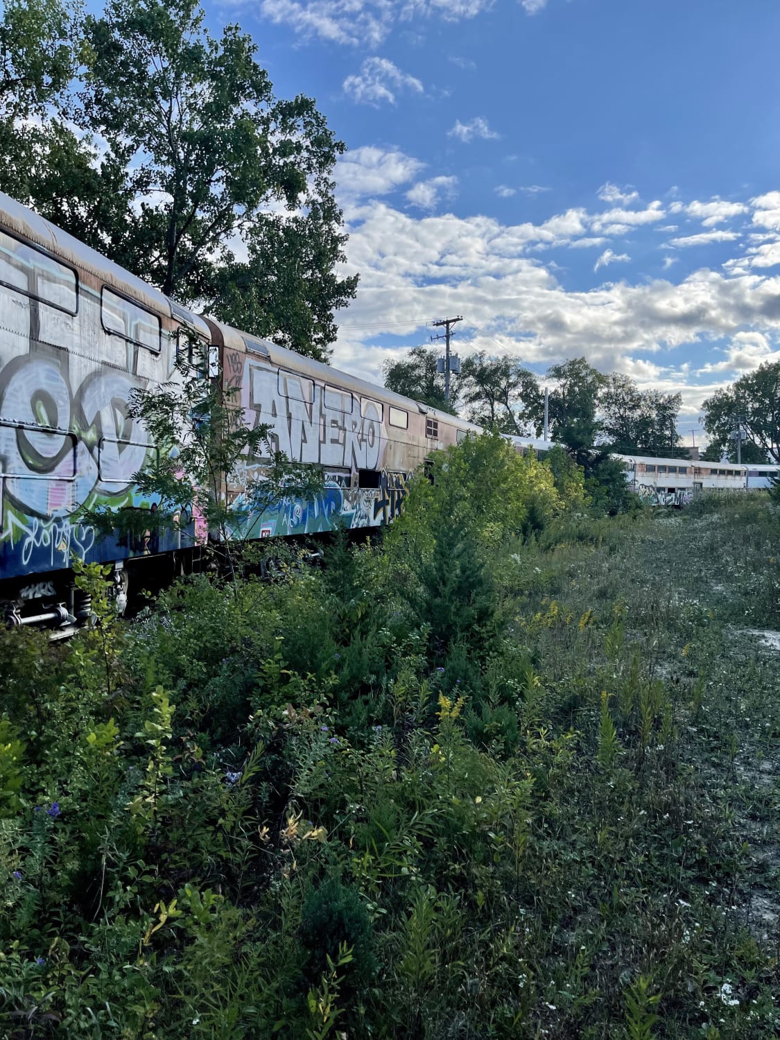 Abandoned Metra commuter train from the 90’s in Chicago, IL