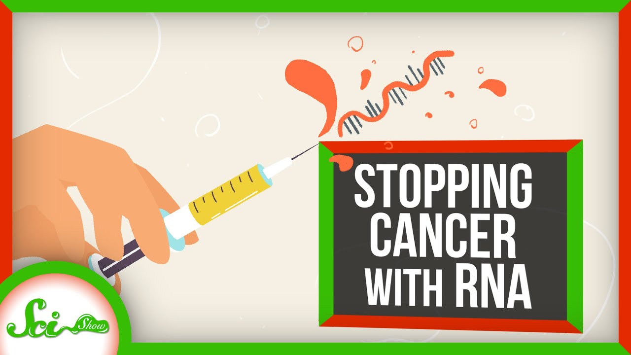 How to Stop Cancer Using RNA