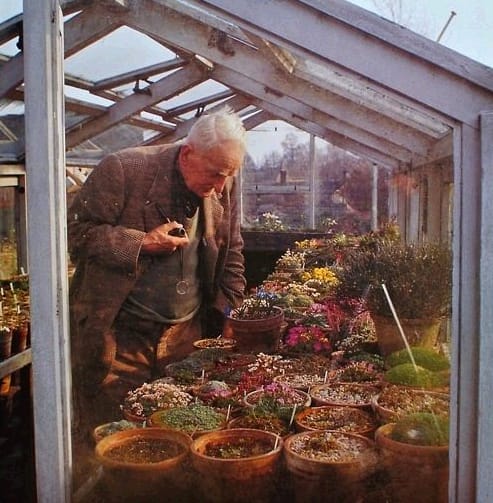 J. R. R. Tolkien in his Greenhouse (circa 1960's)