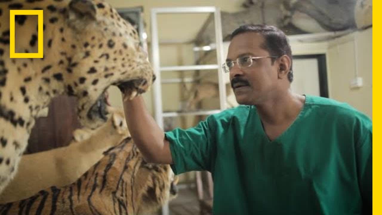 This Self-Taught Taxidermist May Be the Last One in India | National Geographic