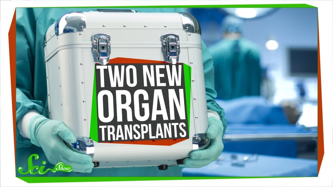 Two Unbelievable New Transplants That Actually Worked