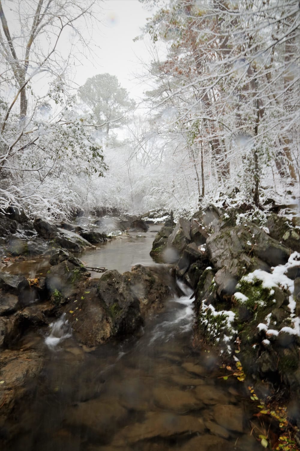 Went hiking in The Ouachita National Forest last year the day before a very unusual and big snow storm hit Arkansas, USA. I just posted the video of that hike on you tube, and what do we get? Another unusual snowstorm! Coincidence? At least, hiking in it is pretty!