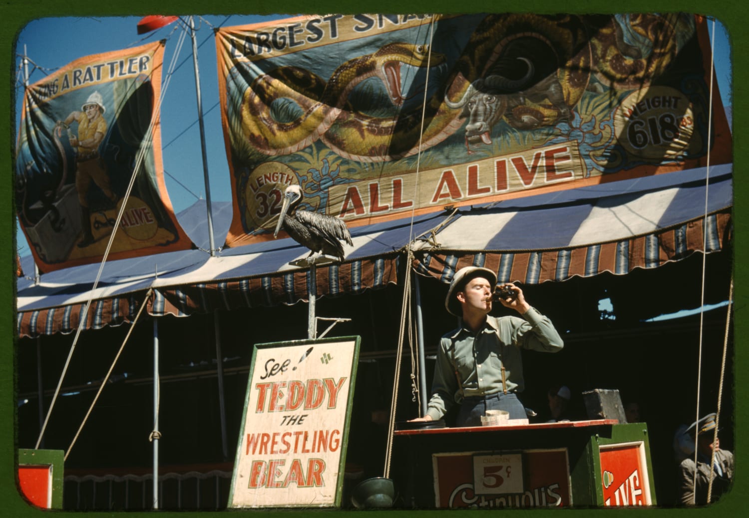 Barker at the Vermont State Fair, 1941