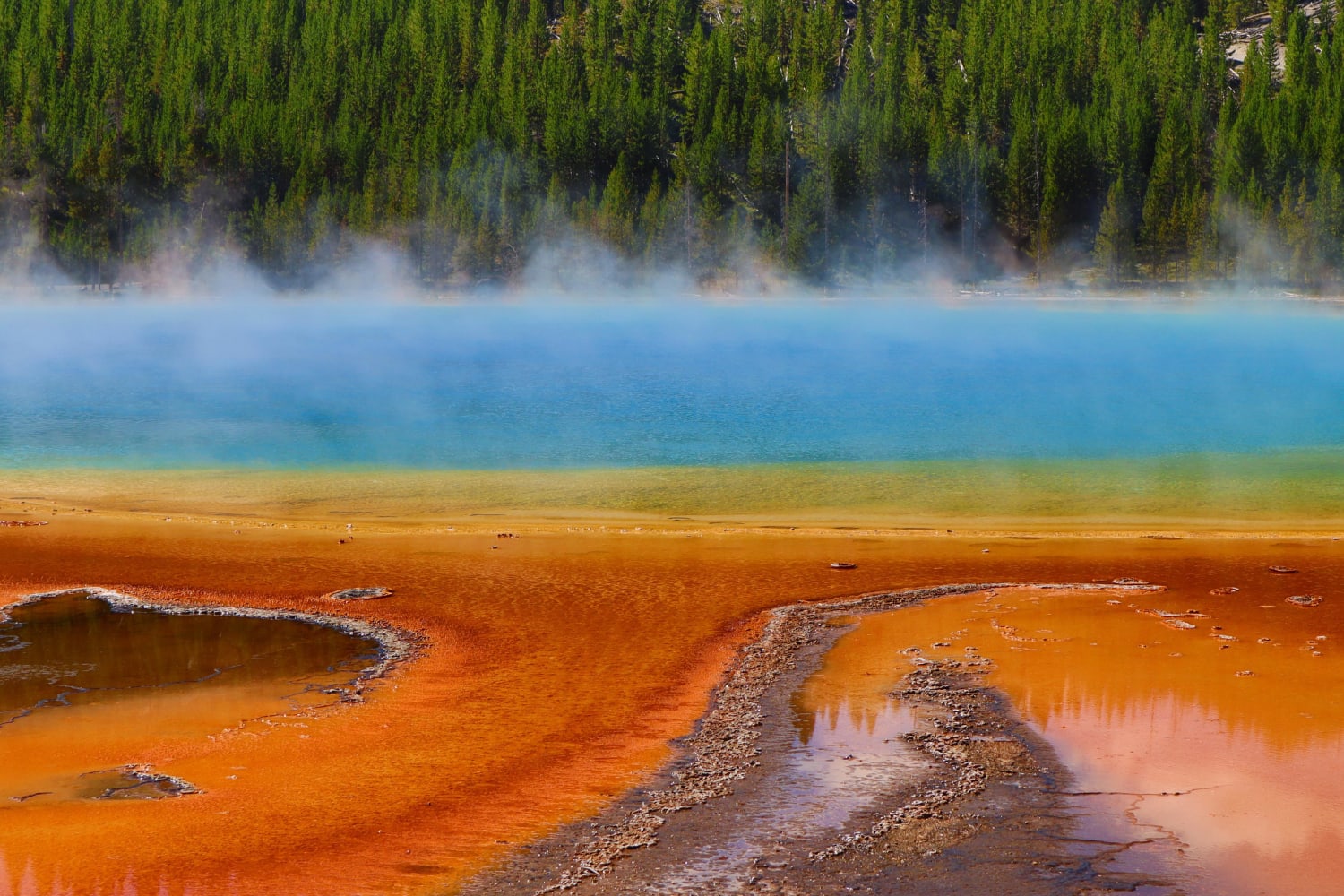 Grand Prismatic Spring, Yellowstone NP (WY, USA)