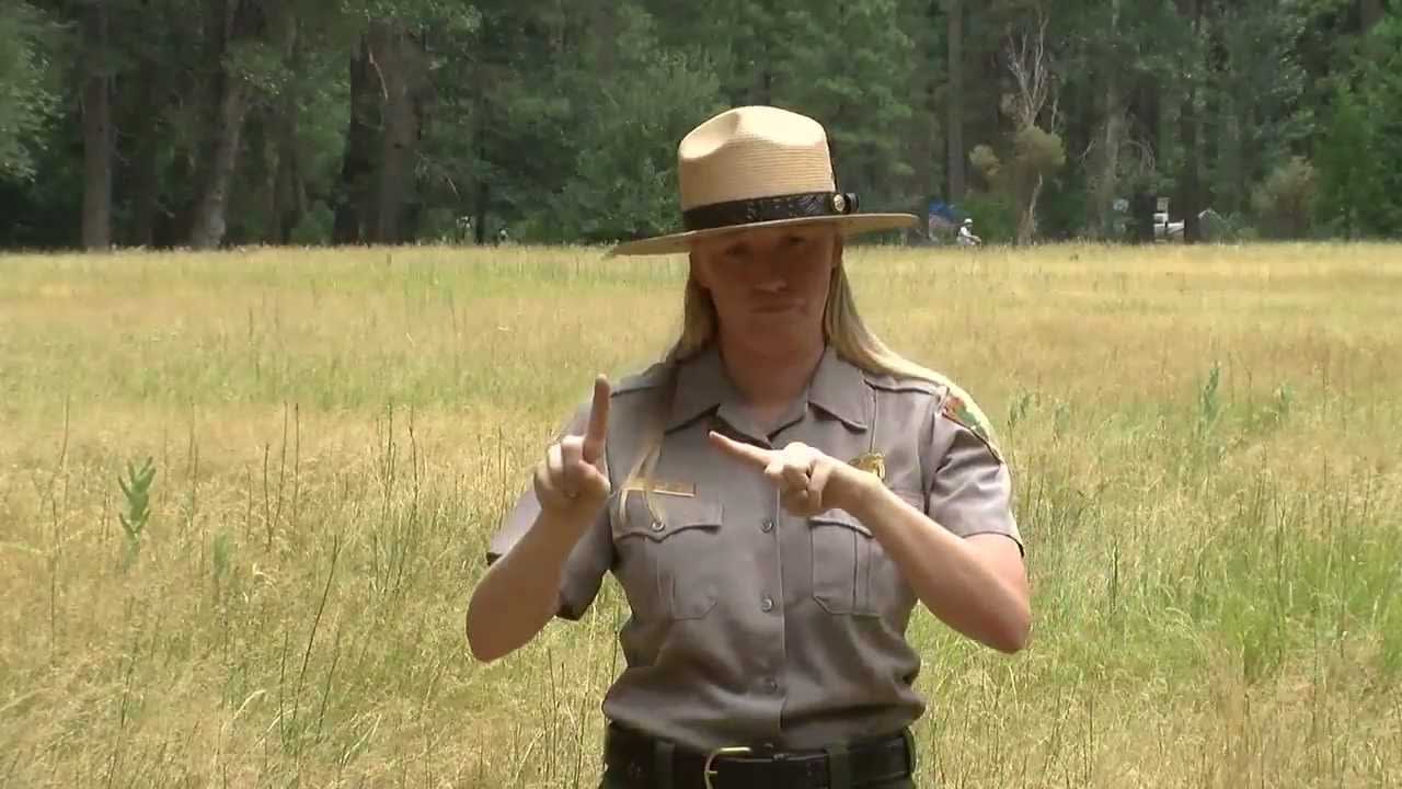 Yosemite Deaf Services: Interpreted Activities