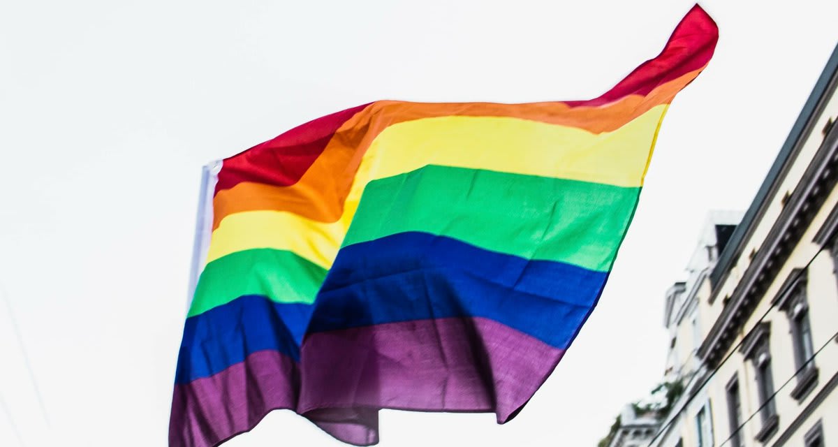 From the 1950s onwards, we take a look at the fight to declassify homosexuality as a 'mental disorder'. Read more ➡️