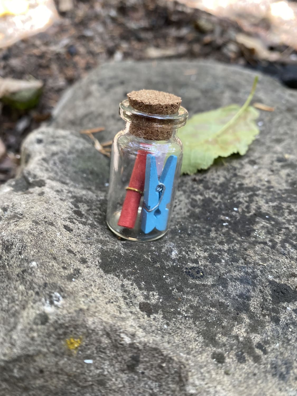 Found this little bottle with a small note and clip inside. It was about 10 kms in on a rough hike. Deliberately placed and left alone. Any ideas?