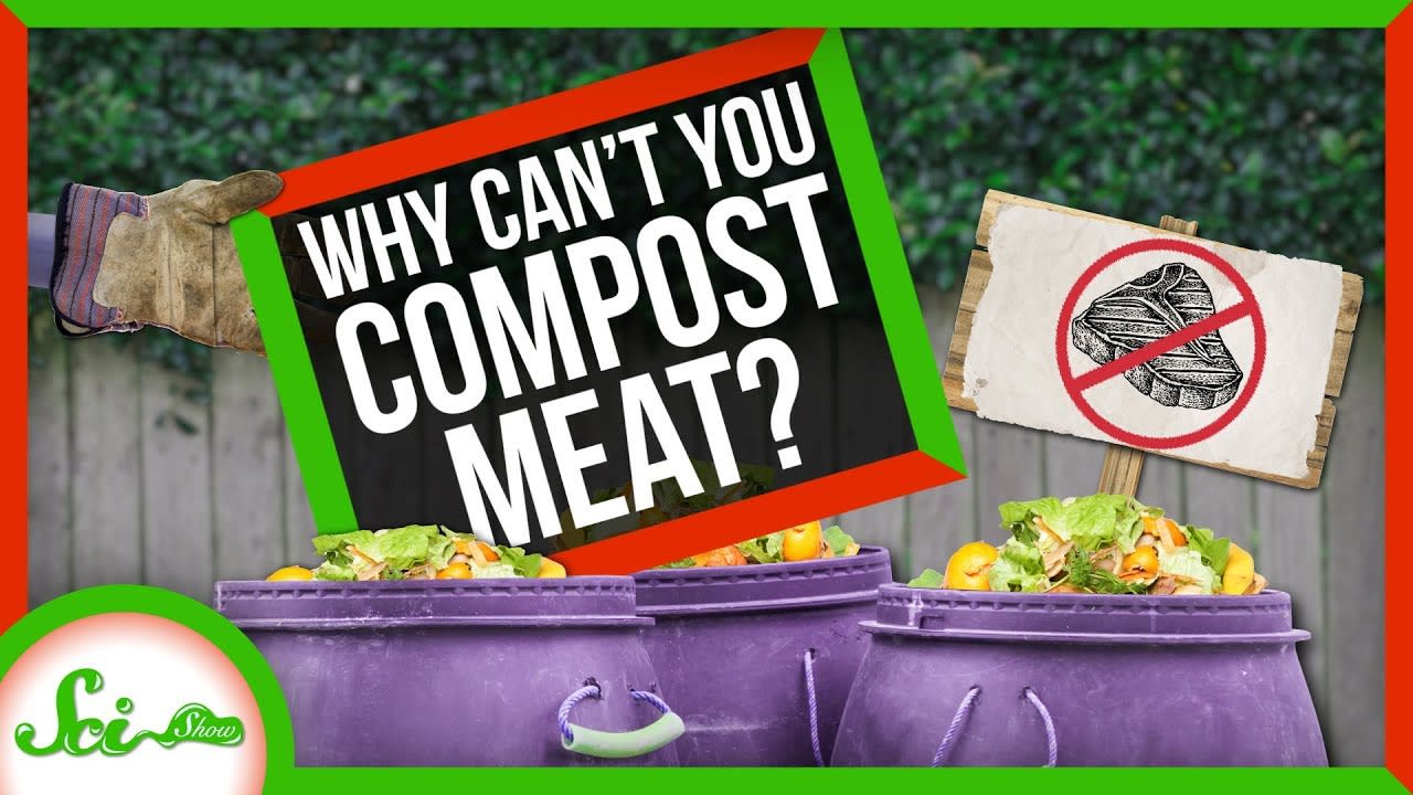 Why Can't You Compost Meat?