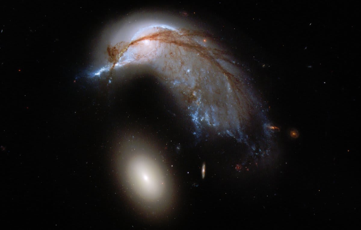 Day 20 of the 2019 Hubble Space Telescope Advent Calendar: A Close Encounter. Two interacting galaxies called Arp 142 bear a resemblance to a penguin guarding its egg. The gravitational chaos caused by the interaction is tearing the top galaxy apart.