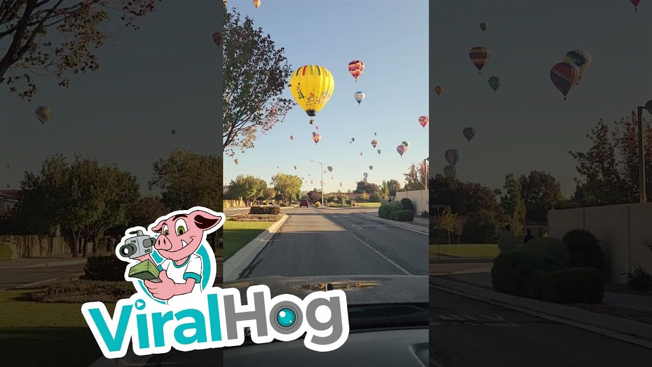 Albuquerque International Balloon Fiesta 2021 || ViralHog