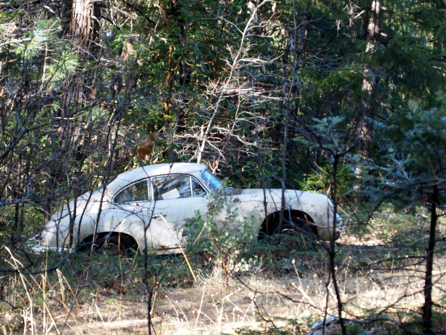 Porsche 356 outside of Nevada City, CA. Note on the window is someone trying to buy it years prior