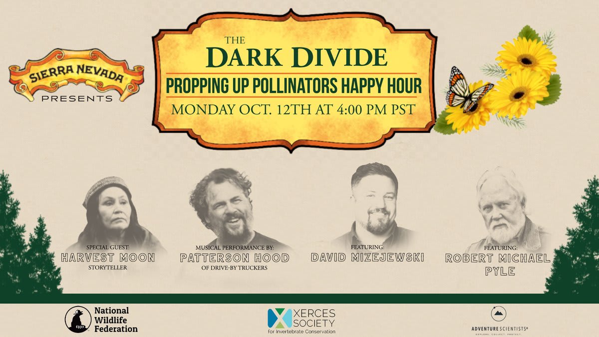 Join @NWF Naturalist @Dmizejewski and a panel of experts for the @darkdividefilm Propping Up Pollinator Happy Hour to learn how you can take small steps to recover vital bee, bats, and butterfly habitat in your backyard and community. RSVP: