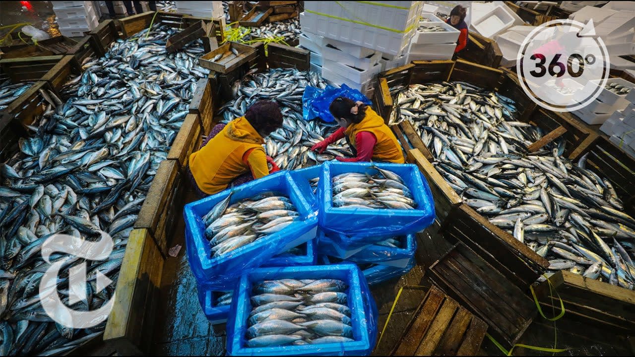 52 Places To Go: Busan Fish Market | The Daily 360 | The New York Times