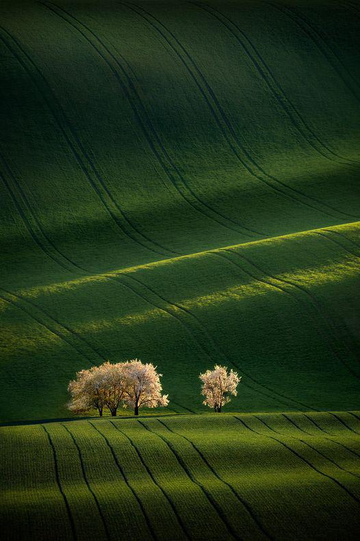 Moravian Tuscany – South Moravia, Czech Republic
