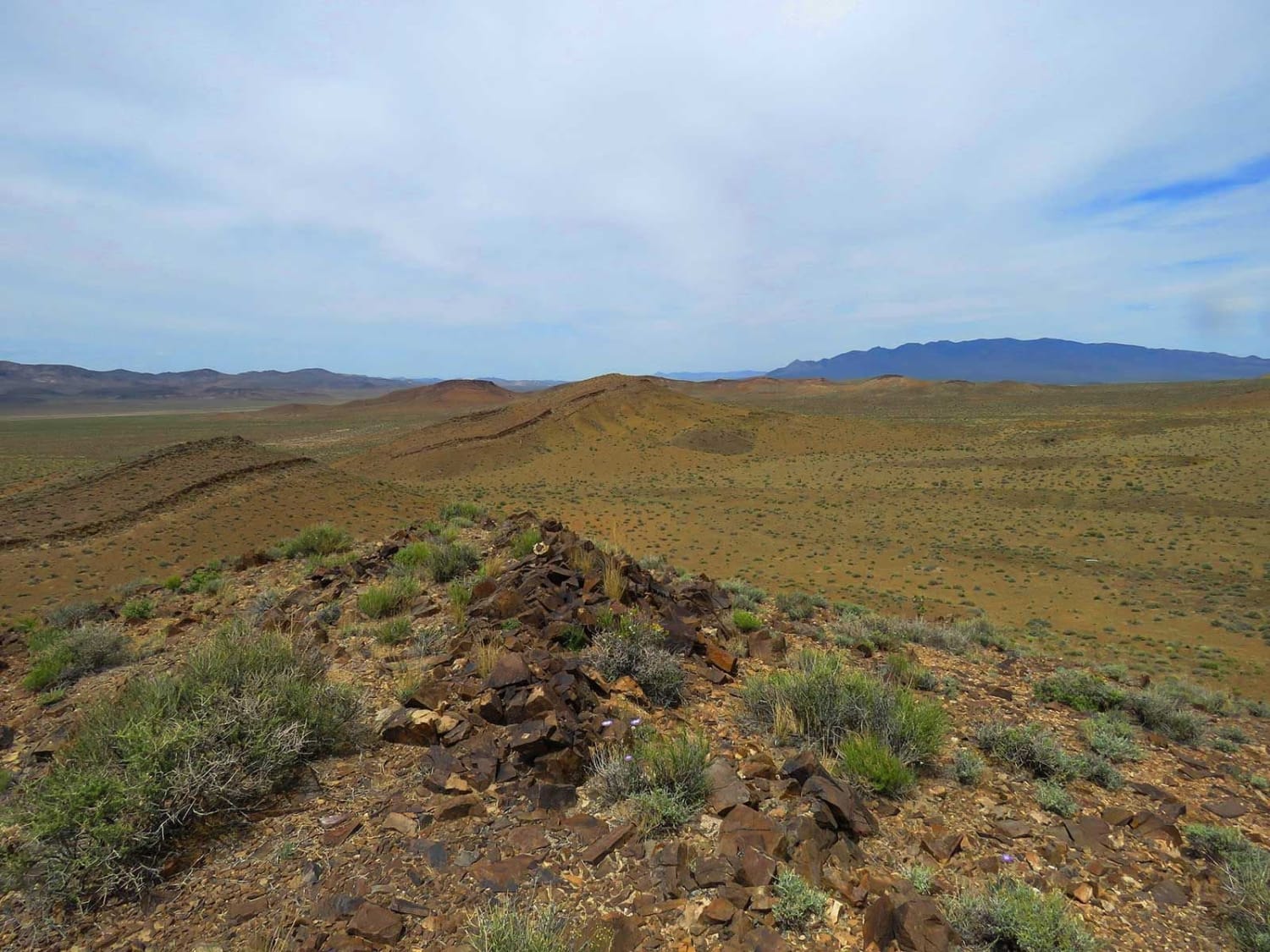Fossils From One of the World’s First Reefs Can Be Found on Mountains in Nevada. Archaeocyaths were the original reef builders, and one of the best places to see them is in the desert