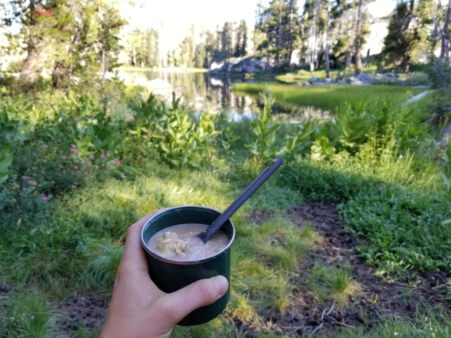 Sharing my fast oatmeal with some mosquitoes