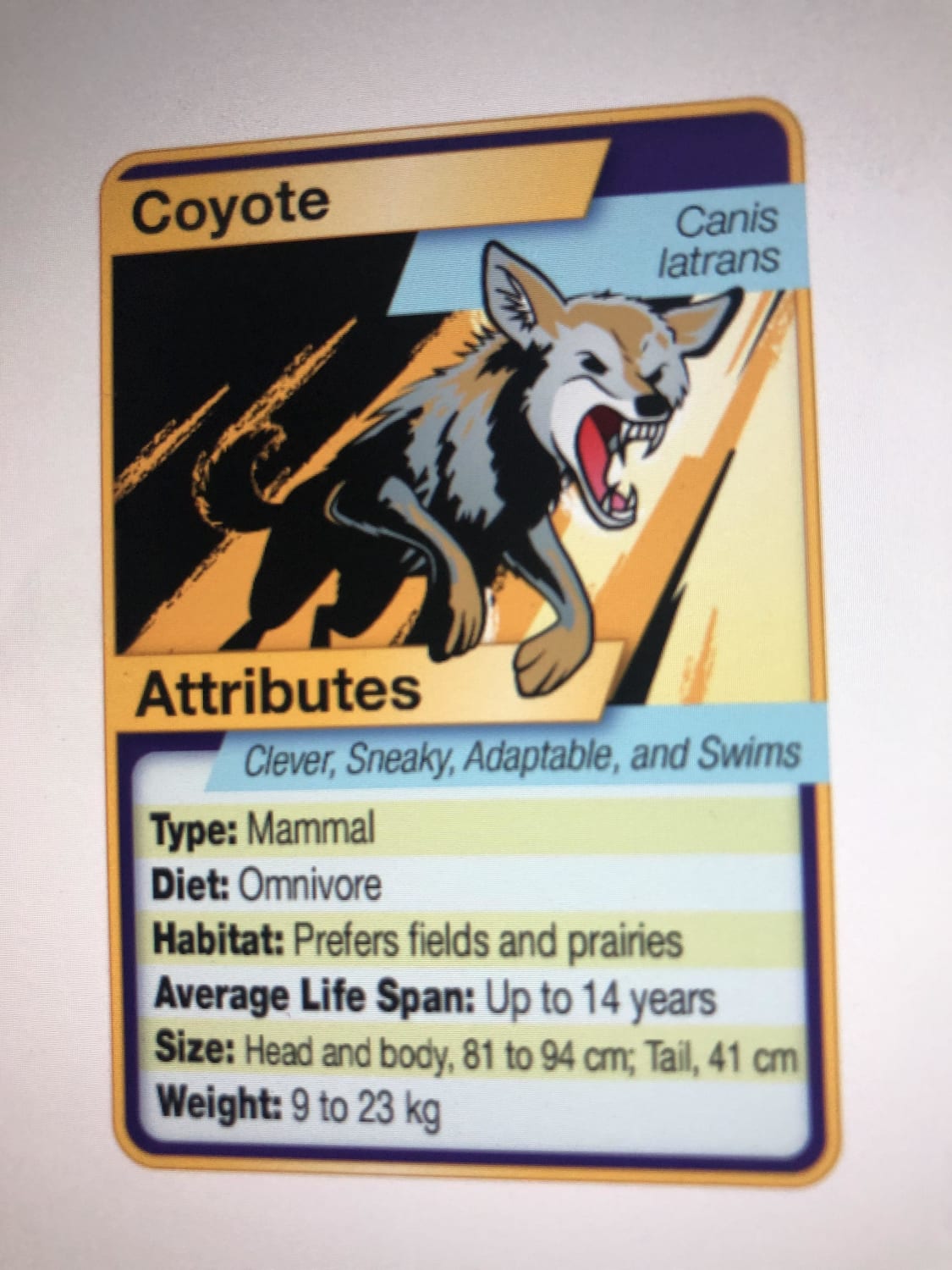 Didn’t know I wanted Pokémon-styled animal cards, sounds like a good tool for learning!