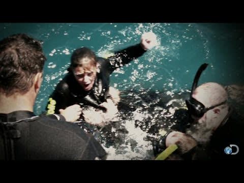 Hero Saves Woman During Snorkeling Shark Attack