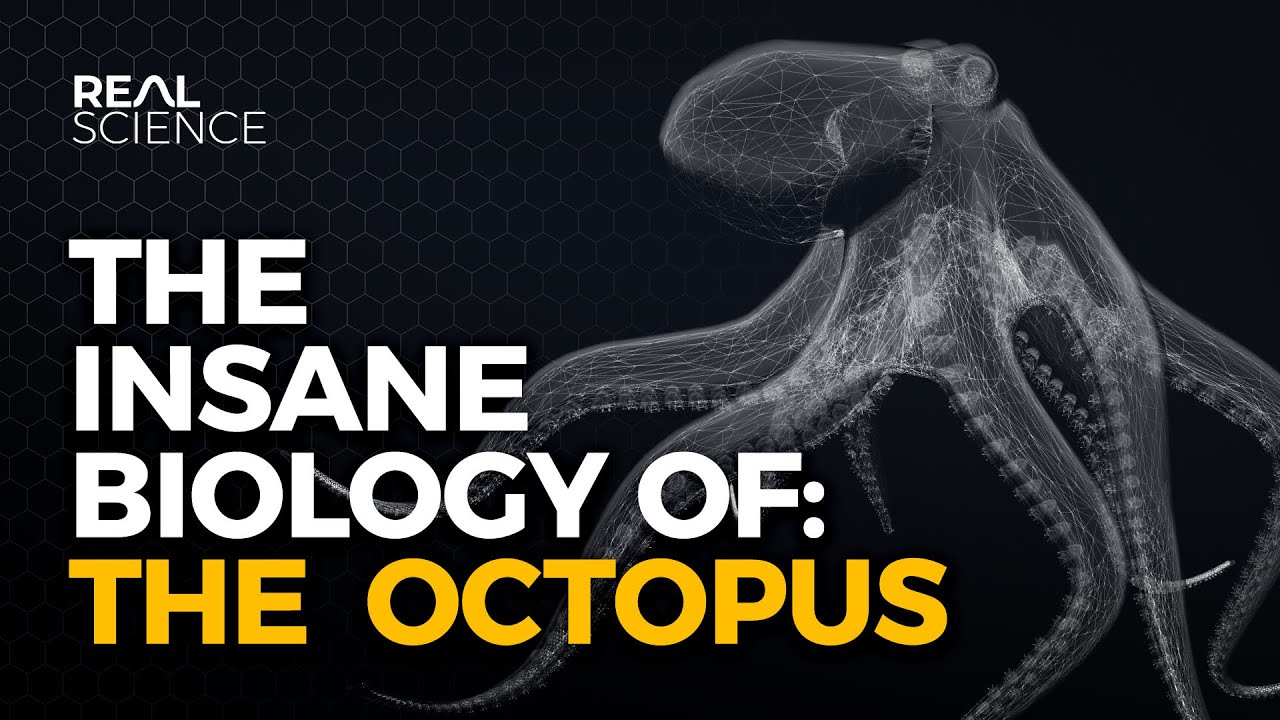 The Insane Biology of: The Octopus [21:27]
