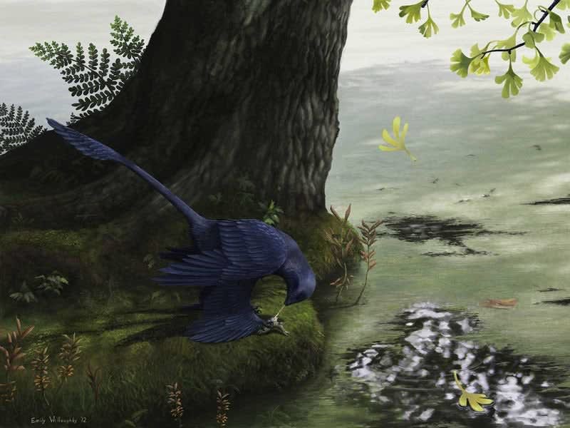 Dinosaurs evolved flight at least three times