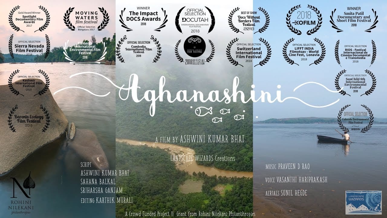 Aghanashini (2017) - This documentary, about a river in the Western Ghats of India, "Aghanashini", a river unique in the sense that it still flows in it's natural course due to absence of any dams to change it's course and not having any major industries to pollute it either. [00:41:16]