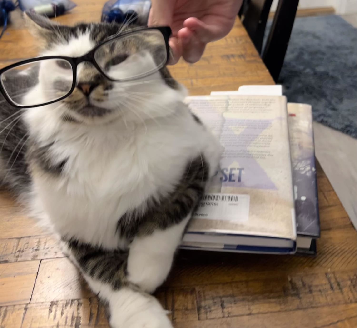 Librarian cat can not check out these books to you until you have paid your past due fine of $1.40