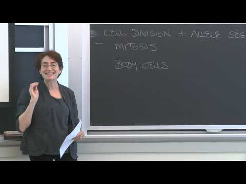 Lecture 4.2: Inheritance and Genetics — Allele Segregation