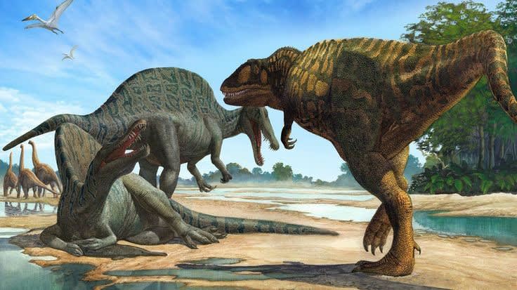 Giganotosaurus walks past a duo of Spinosaurus