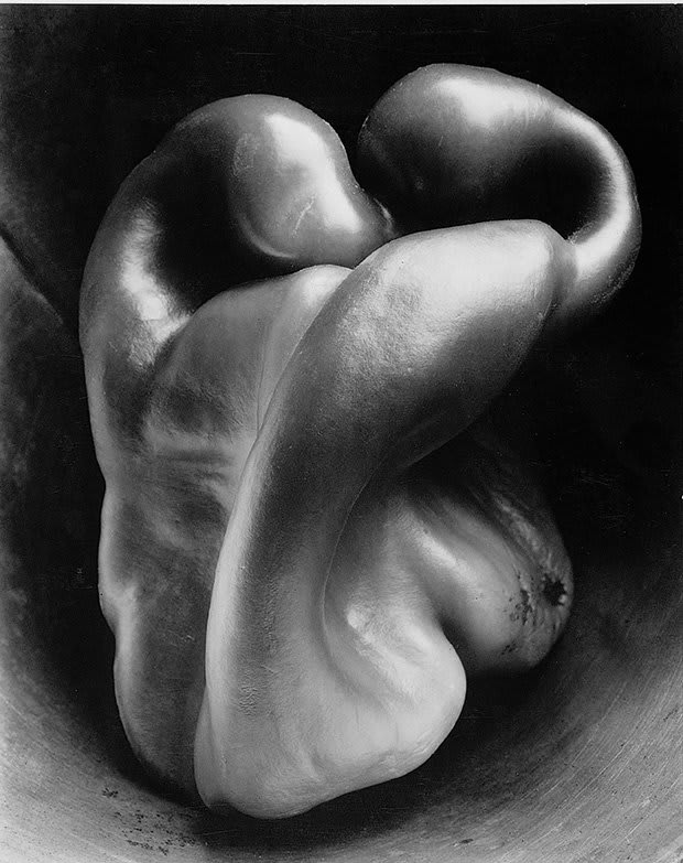 "Rhythmically contracting and expanding" - how did Edward Weston turn a green pepper into a work of erotic art?