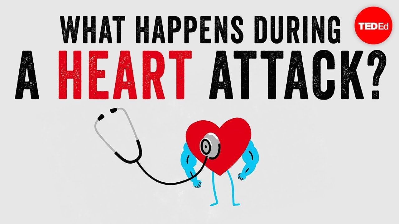 What happens during a heart attack? - Krishna Sudhir