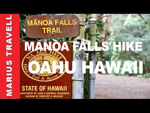 Manoa Falls Trail Hike Oahu Hawaii