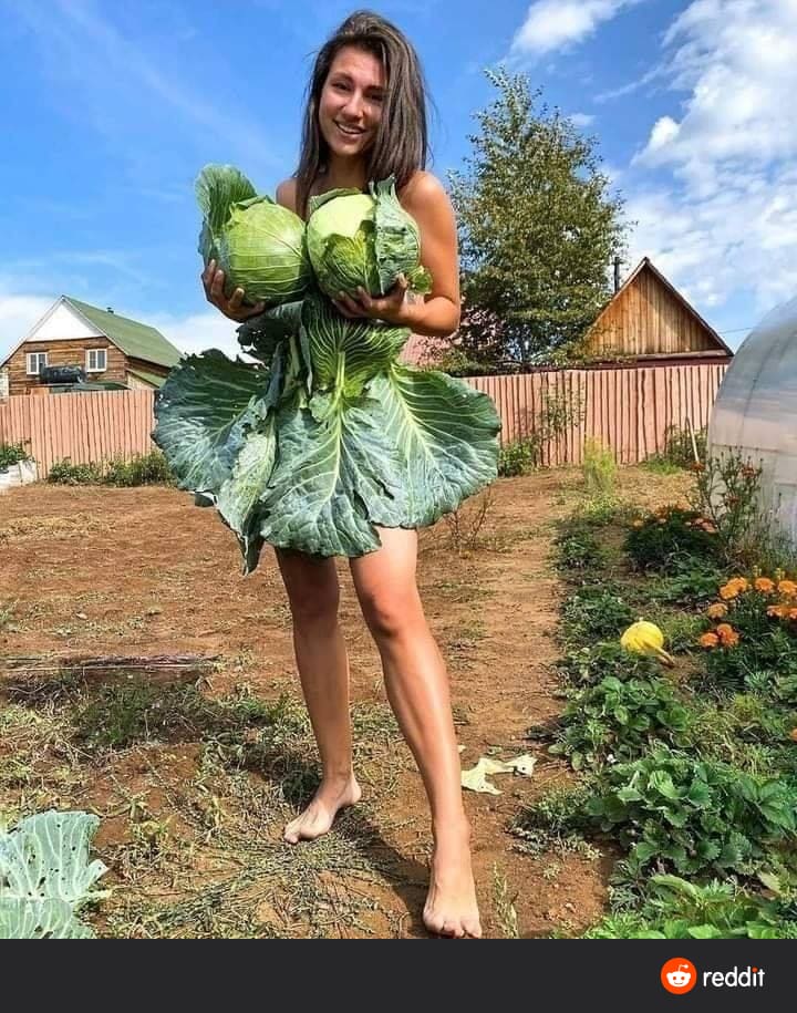 PsBattle: this woman with her cabbages