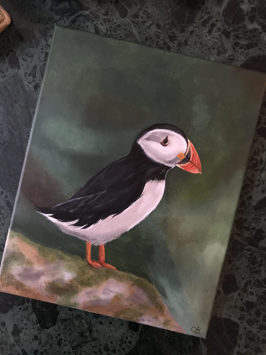 A puffin in acrylics for my boyfriend’s birthday. I’m still quite new to painting, but pretty happy with the result.