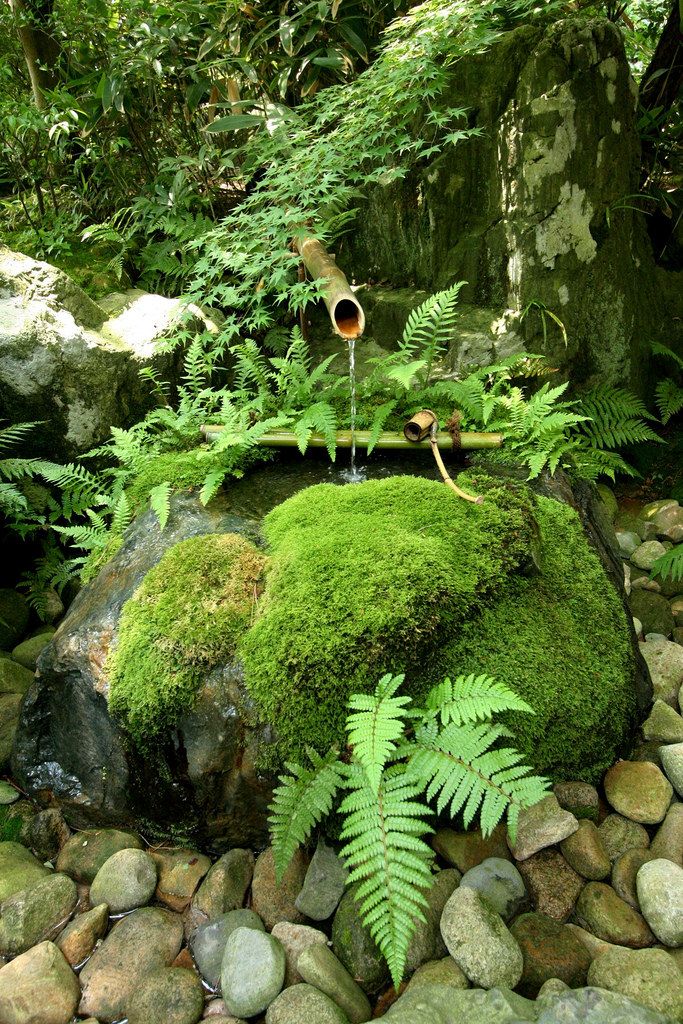 Moss and Stone Basin | Japanese garden landscape, Water features in the garden, Japanese garden