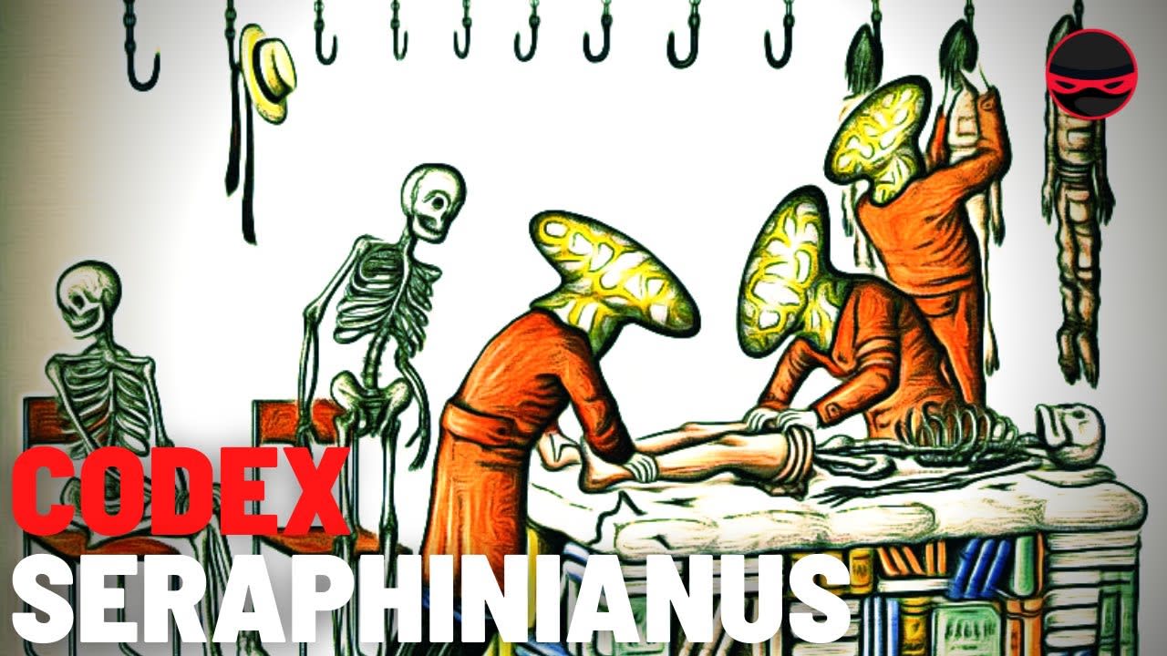 The Most Mysterious Book In Existence (2021) Codex Seraphinianus [00:08:02]