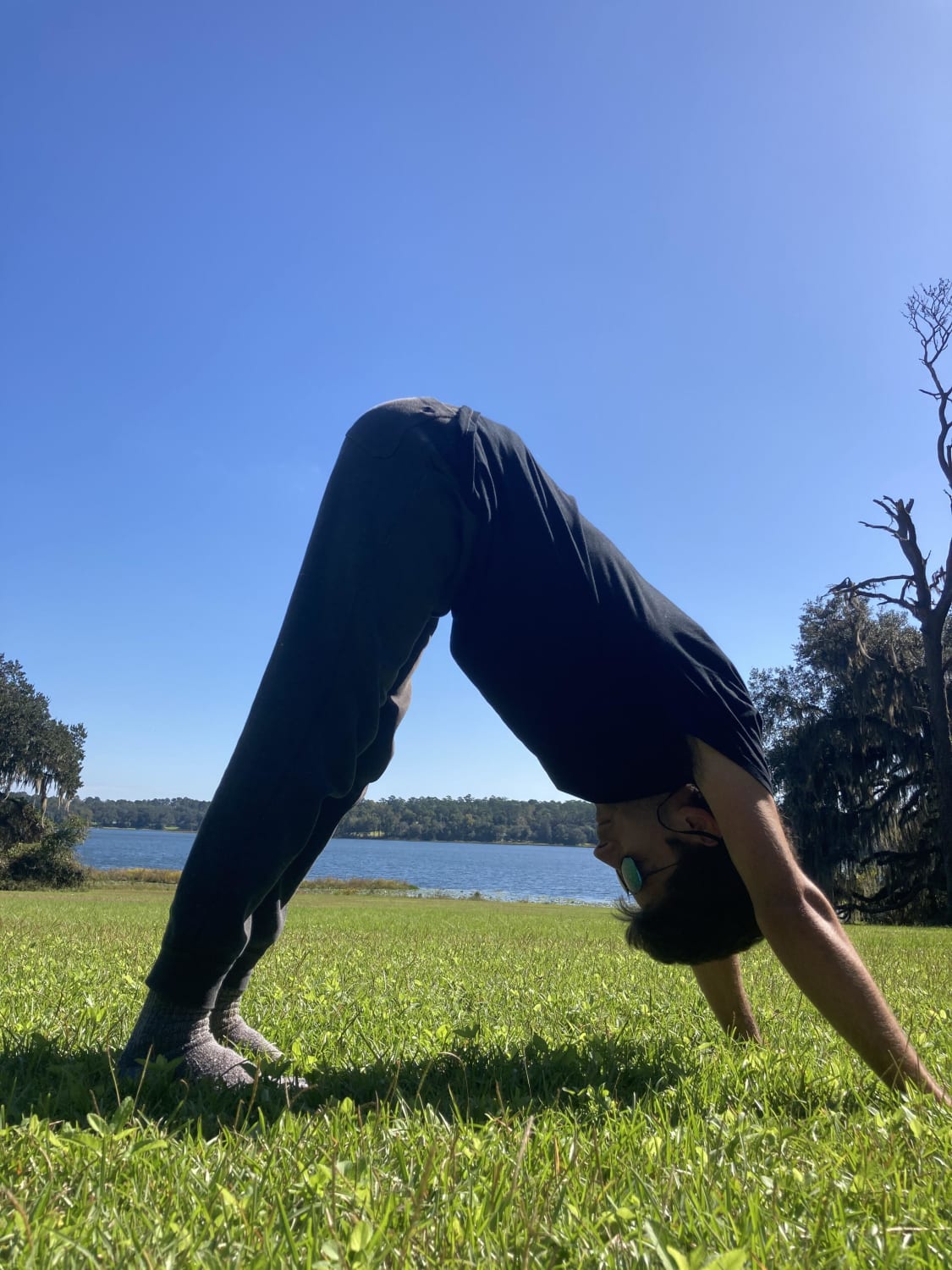 [COMP] Kundalini triangle - looks similar to down dog but the stance is narrower and the hands are further apart. Five minutes is a good hold time.