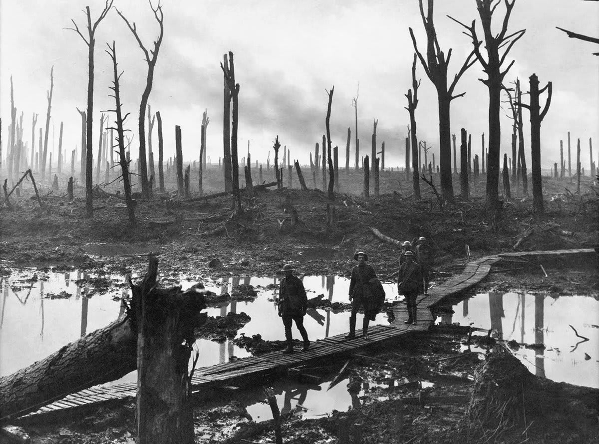 On Armistice Day, a look at World War I in Photos, a 10-part series: 1. Intro https://t.co/iZscyly5ch 2. Western Front, Pt. 1 https://t.co/eNJUg6ca5W 3. Technology https://t.co/TMM3SFdygY 4. Animals at War https://t.co/PzoQgq7VQe 5. Aerial Warfare https://t.co/2BHsNmzJ5g ...