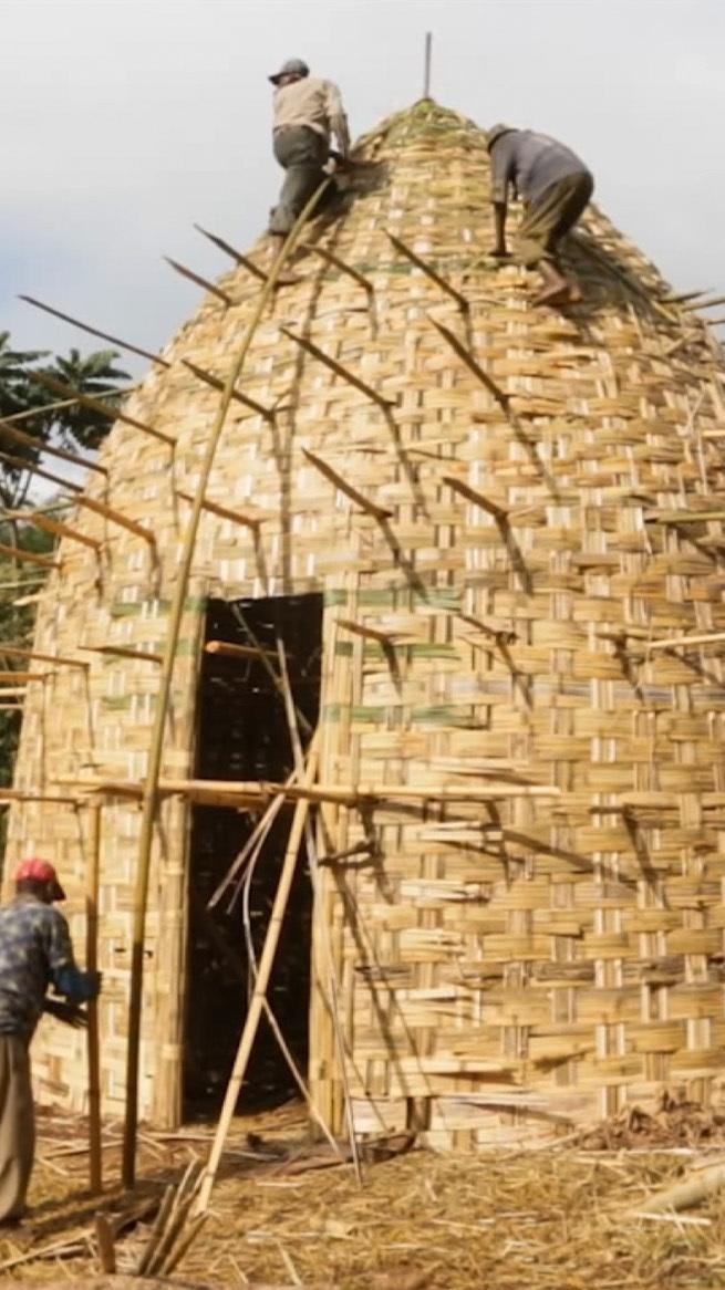 How the Dorze people in southern Ethiopia build ‘beehive’ houses from bamboo that can last their residents a lifetime | Aeon Videos