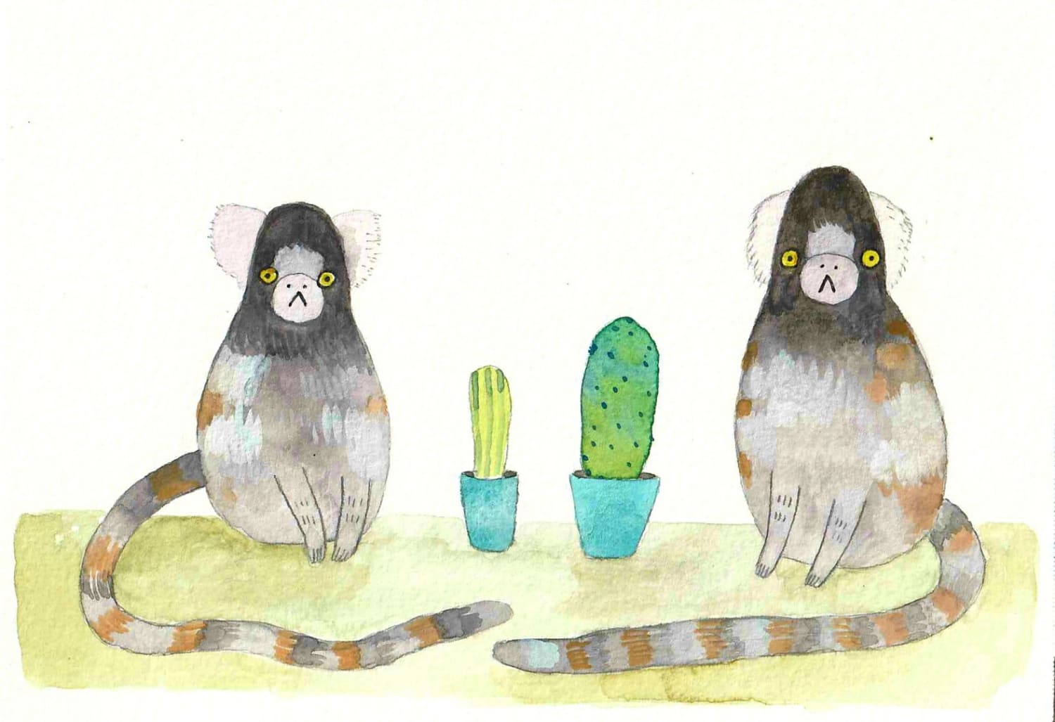 Untitled marmosets painting I made. Watercolor and graphite on" paper.