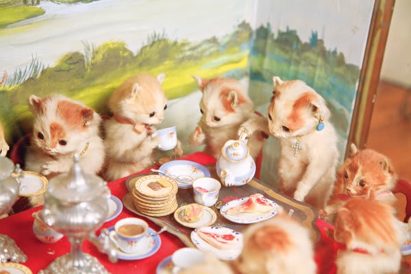 Does anyone know the location of Walter Potter's fabulous 19th century Kittens’ Tea and Croquet Party?