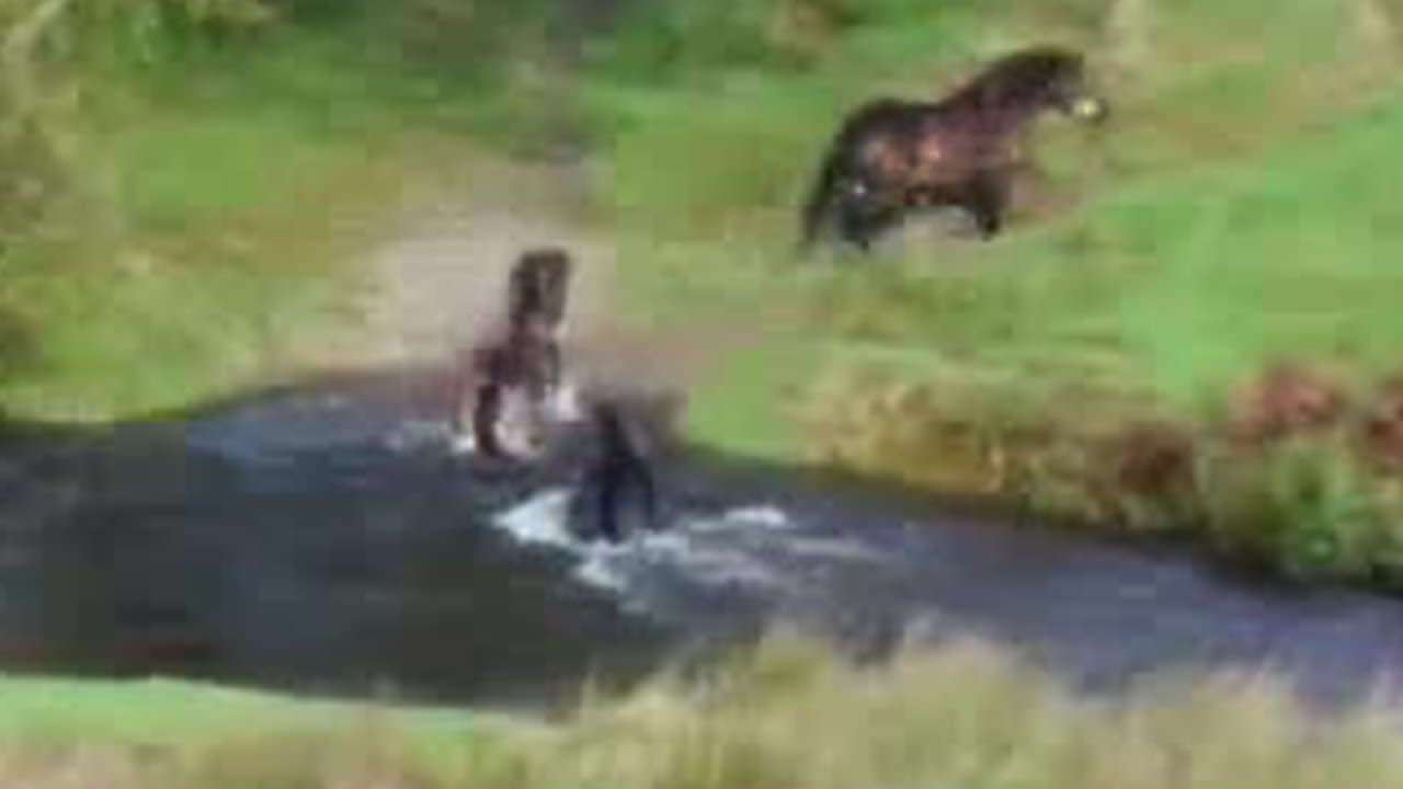 Ponies Crossing River | BBC Studios