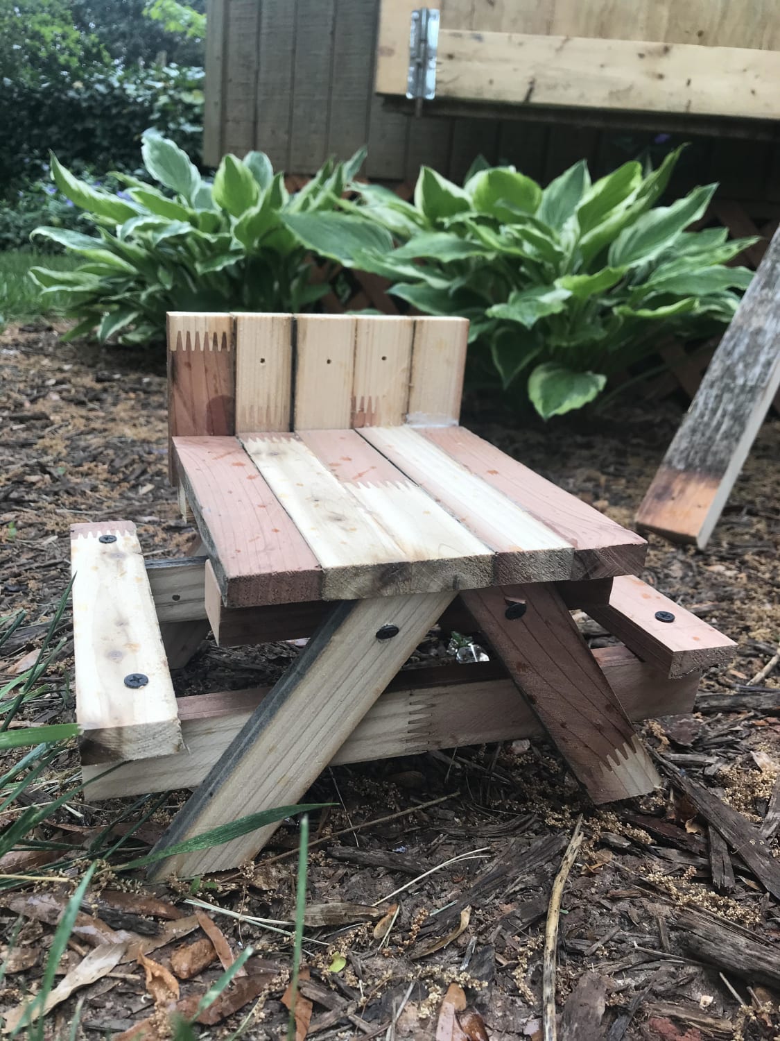 Squirrel picnic table feeder. Made with reclaimed redwood.