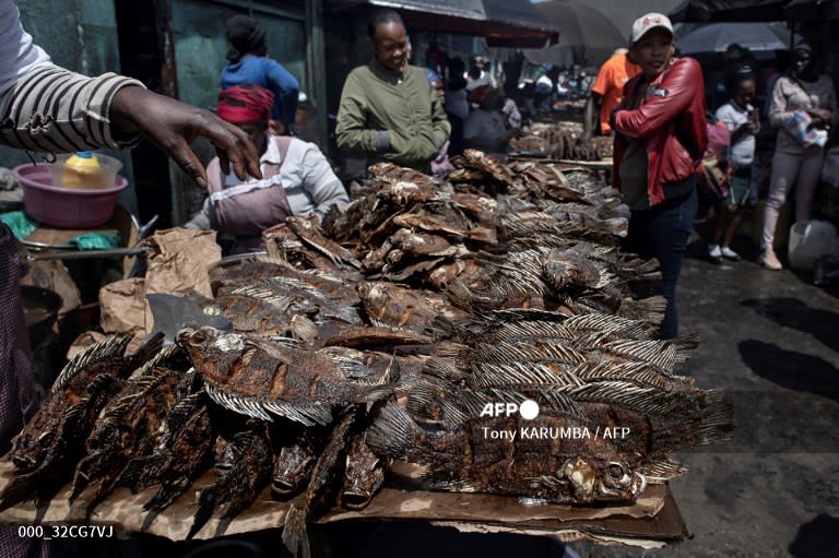 Kenya - @AFP photographer @tkarumba captures scenes of an open air stand for shoppers to chose at Gikomba market in Nairobi.